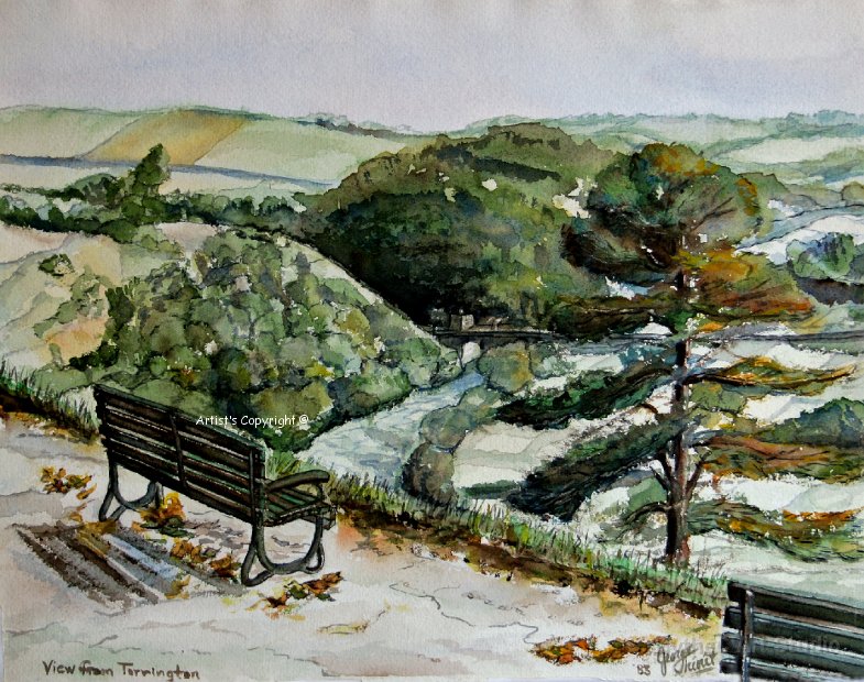 View_From_Torrington